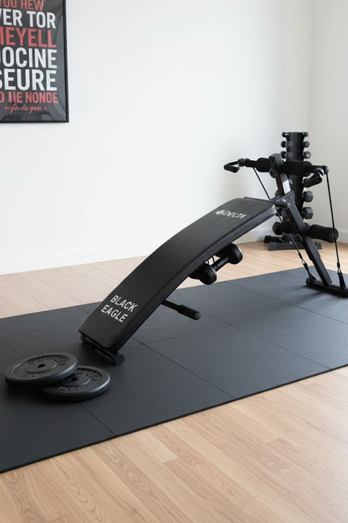 Delta Ağırlık Sehpası Seti 10 Kg X 2 Adet Plaka Toplam 20 Kg Direnç Egz