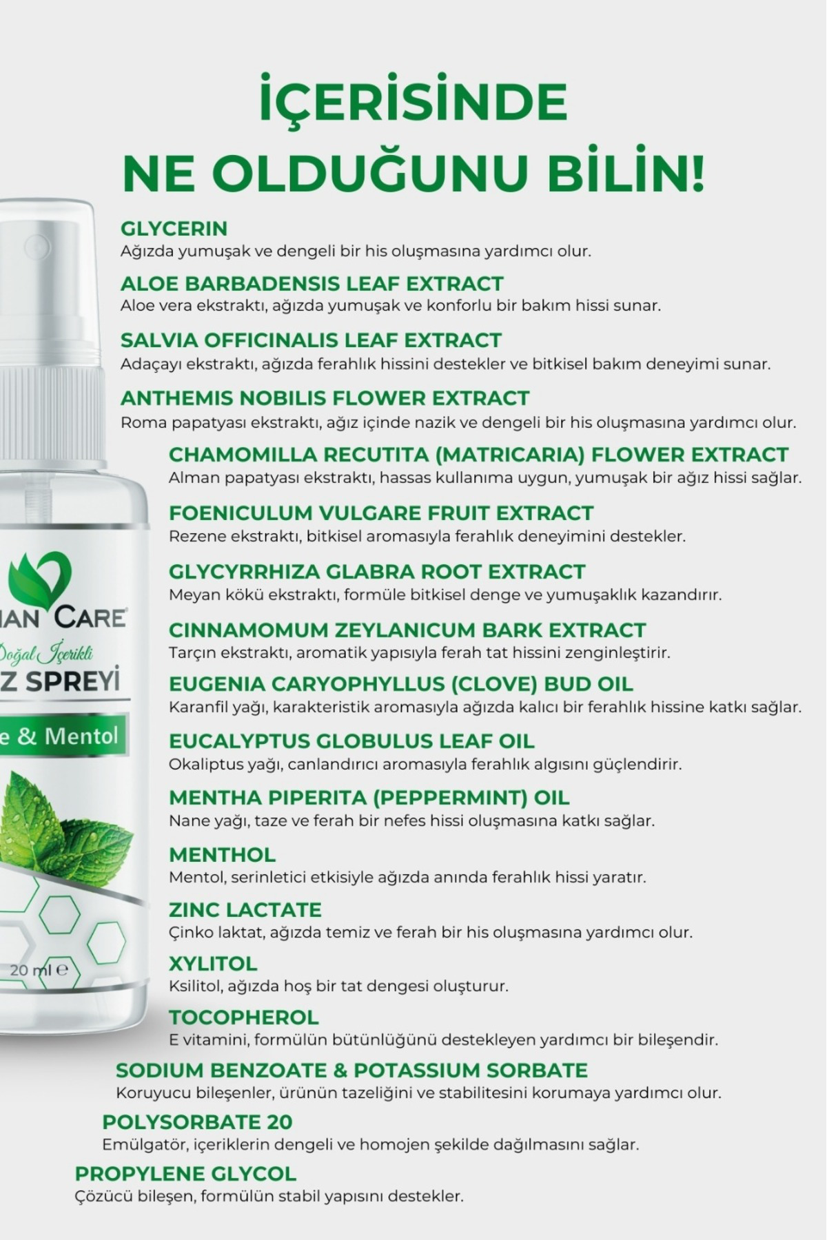 Ağız Spreyi - Nane & Mentol - Doğal İçerikli Alkolsüz Ağız Kokusu