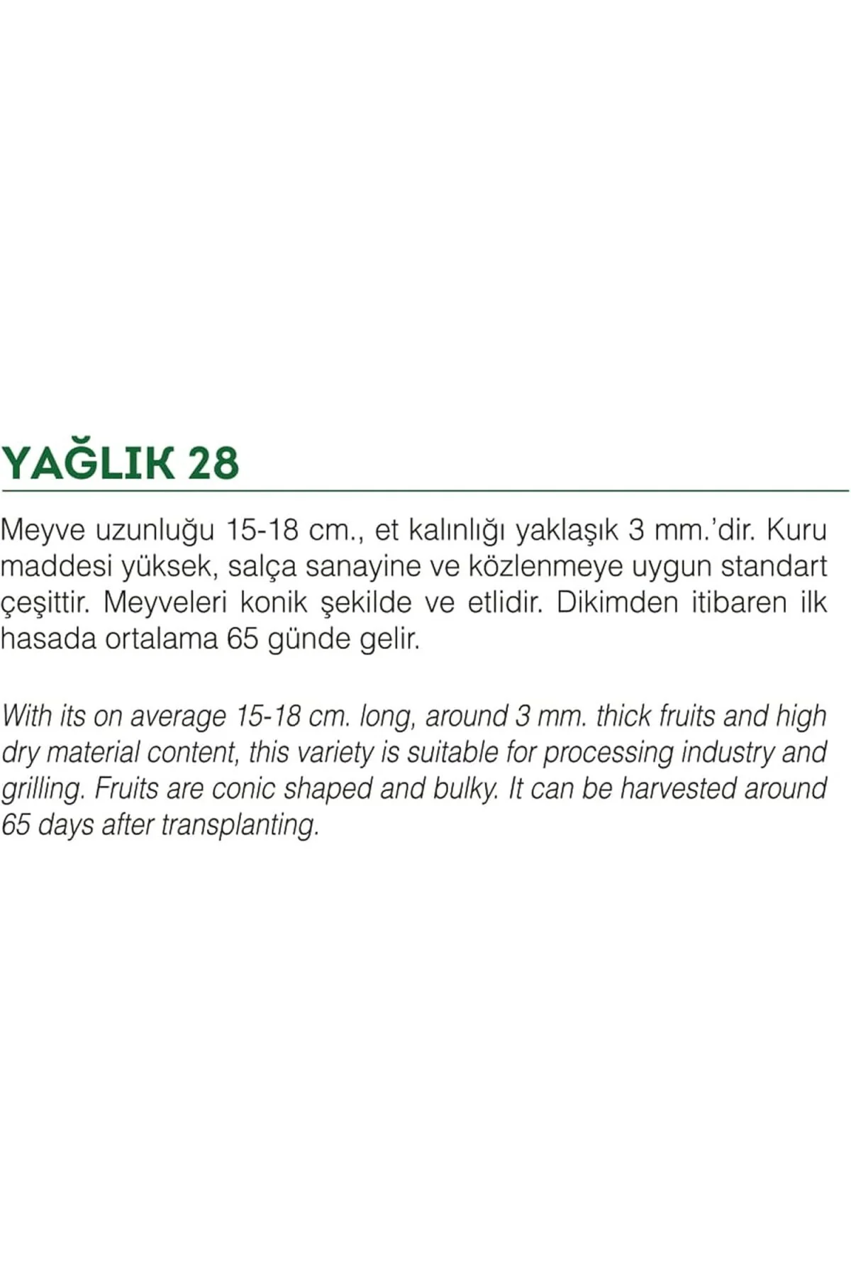 Agrodal Tarım Ata Tohumu Yöresel Yağlık Biber 100 Adet Tohum