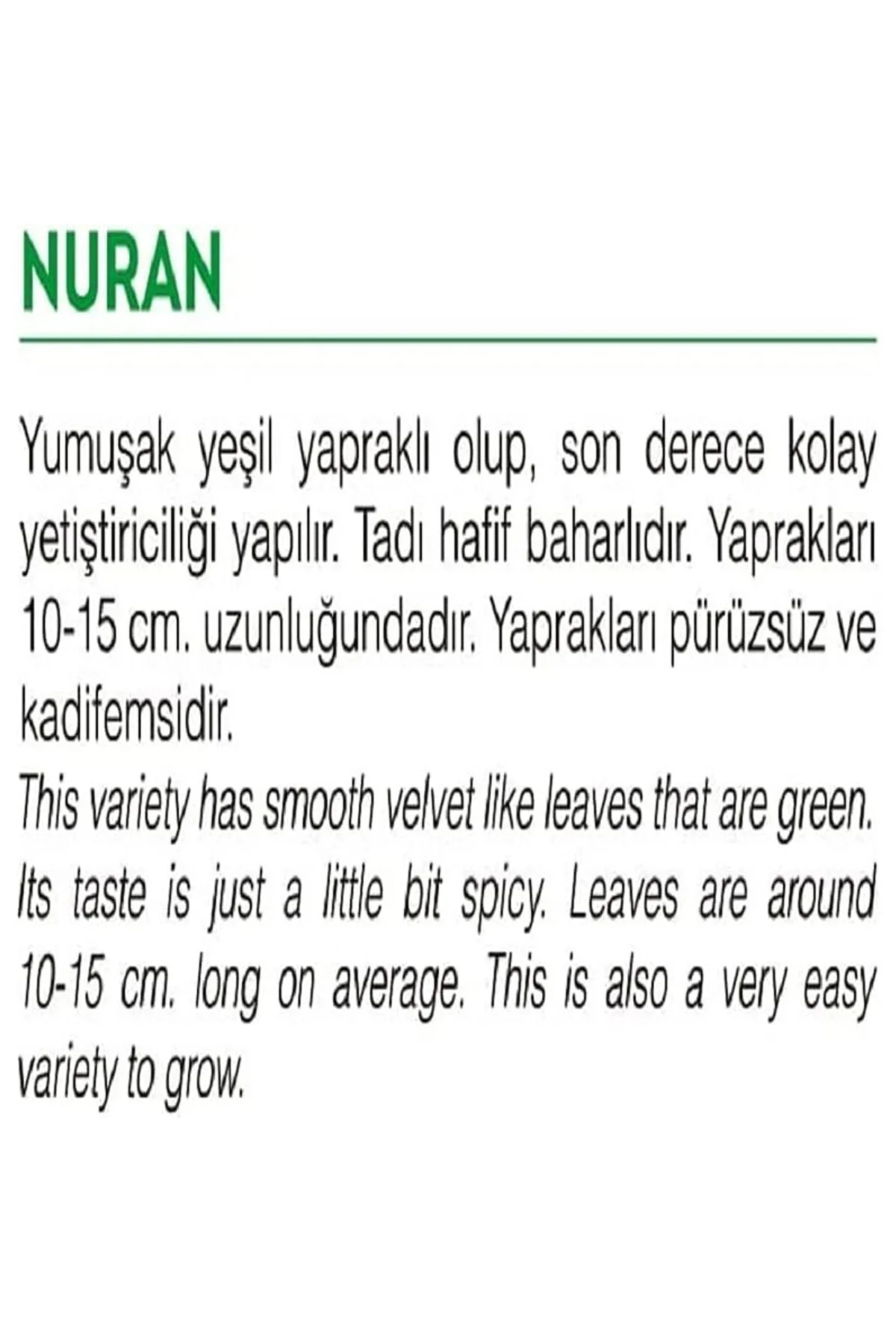 AGRODAL TARIM Ata Tohumu Yerli Roka Nuran 2000 Adet Tohum