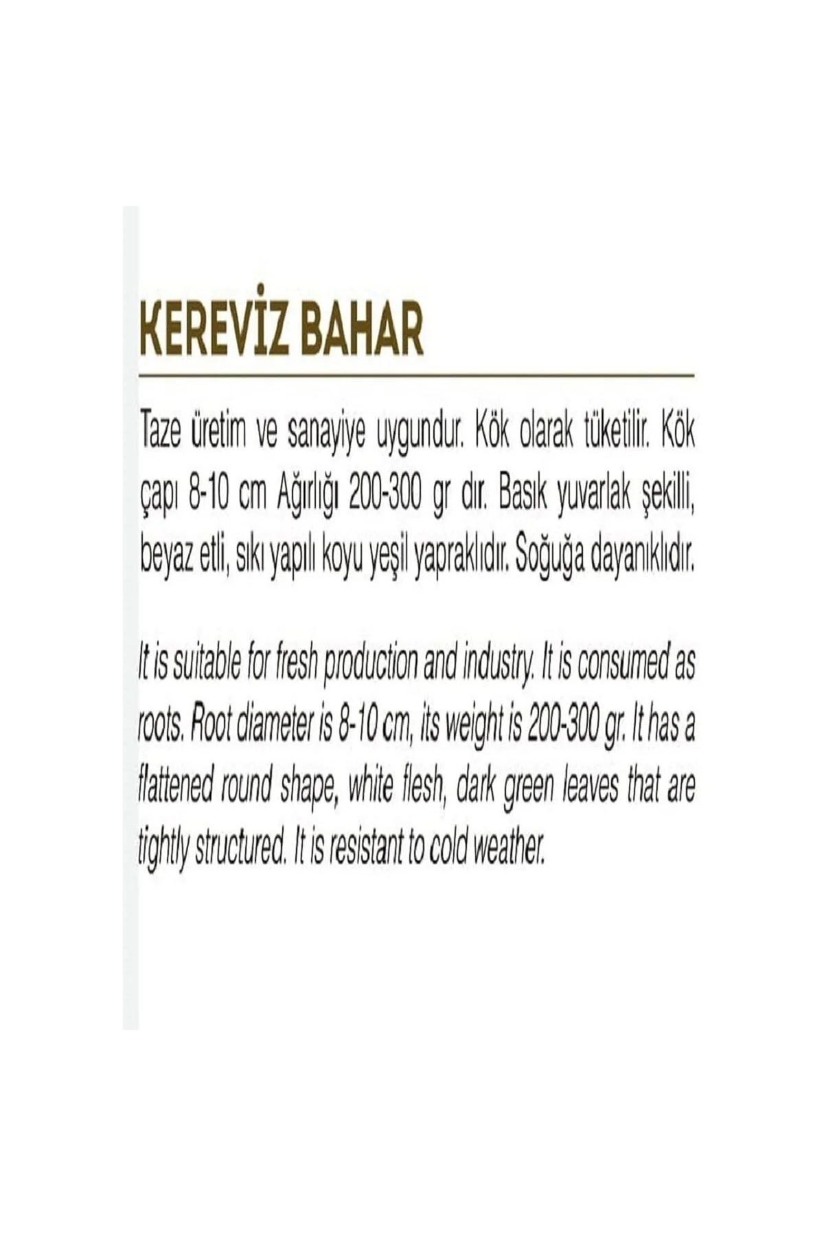 AGRODAL TARIM Ata Tohumu Yerli Kereviz Tohumu 2000 Adet Tohum
