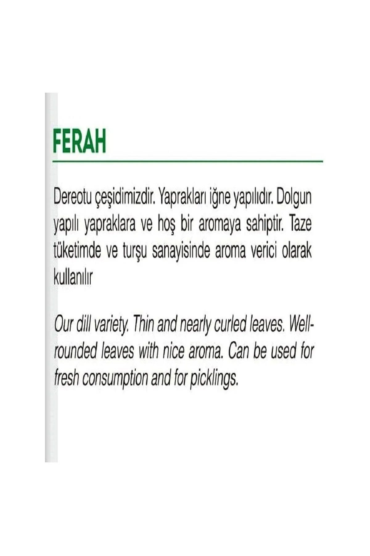 AGRODAL TARIM Ata Tohumu Yerli Dereotu Ferah 1000 Adet Tohum