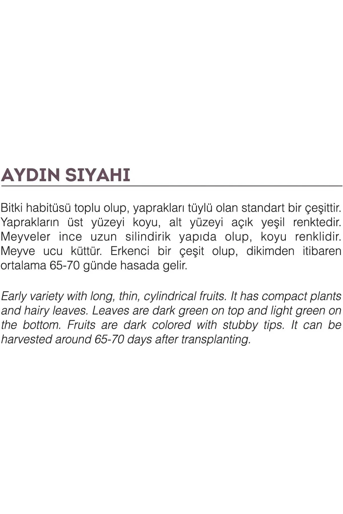Agrodal Tarım Ata Tohumu Yöresel Patlıcan Aydın Siyahı 100 Adet T
