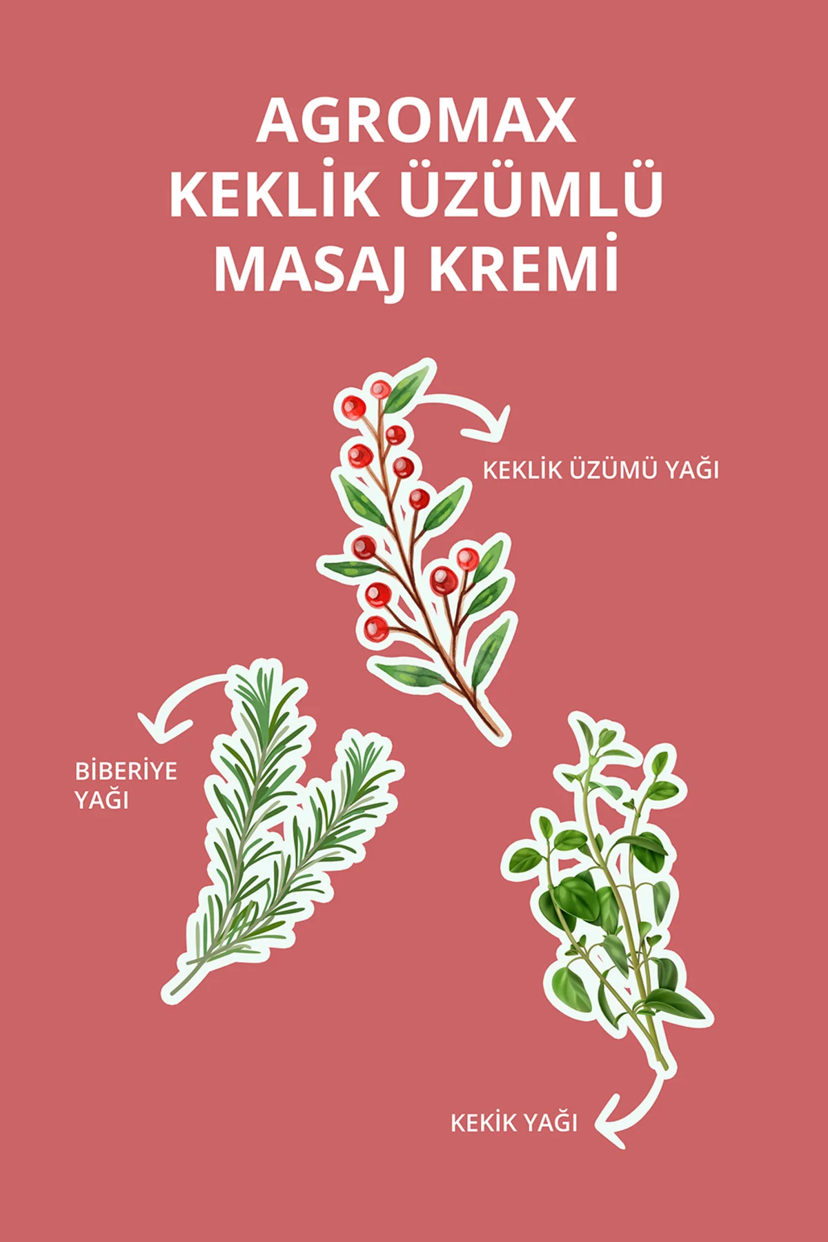 Agromax Keklik Üzümlü Masaj Kremi 140 gr