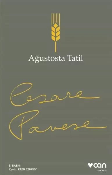 Ağustosta Tatil Fiyatı, Yorumları ve Özellikleri