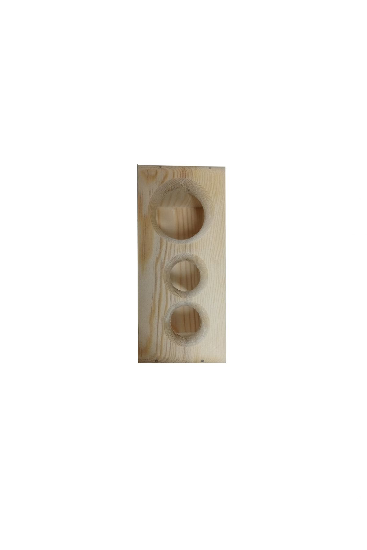 Worldofwood Ahşap Diş Firçalik & Macunluk