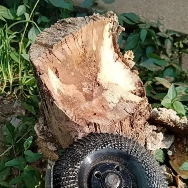 Ahşap Eğe Diski Fiyatı, Yorumları ve Özellikleri