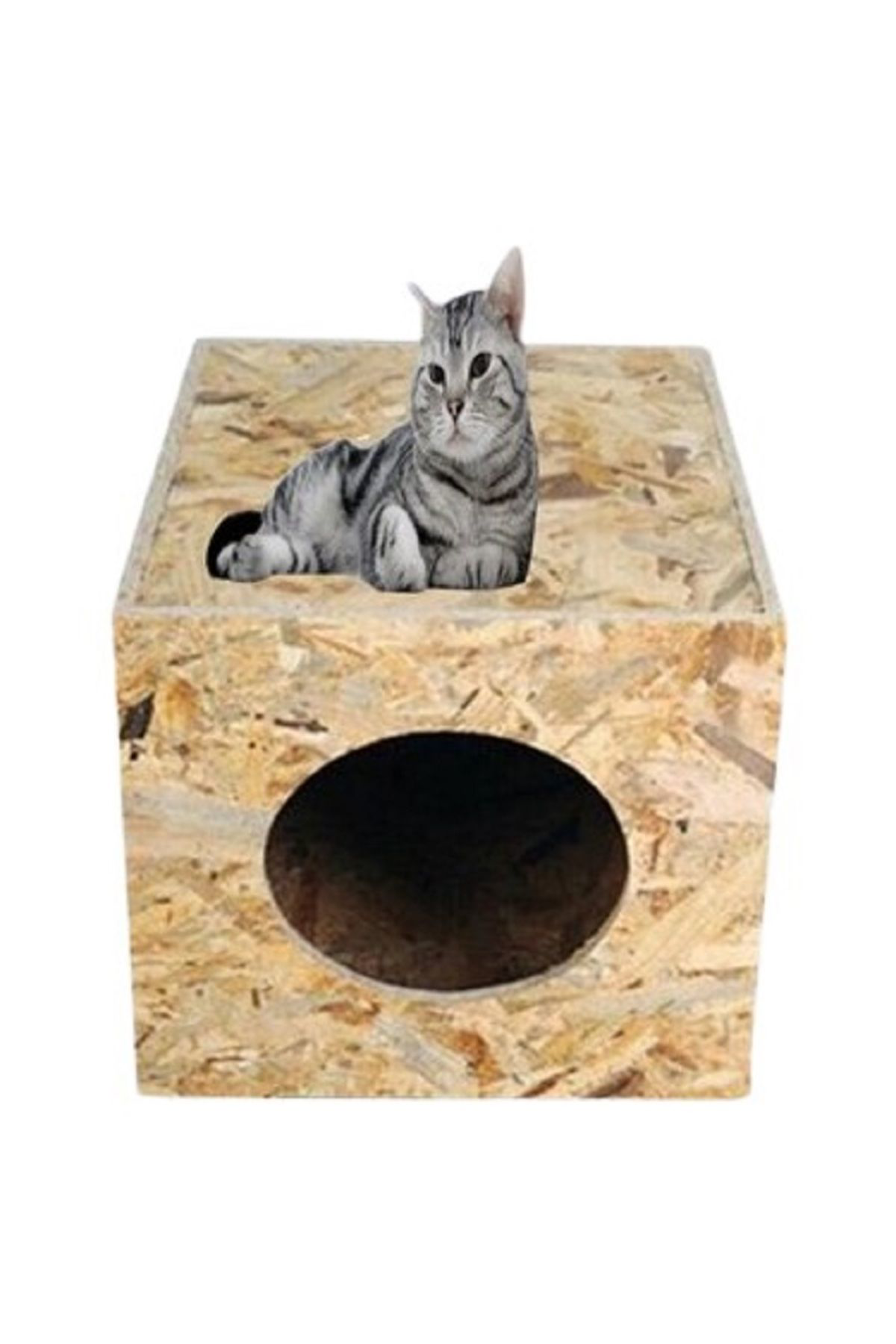 Worldofwood Ahşap Osb Yağmura Dayanikli Kedi Yuvasi Kedi Evi