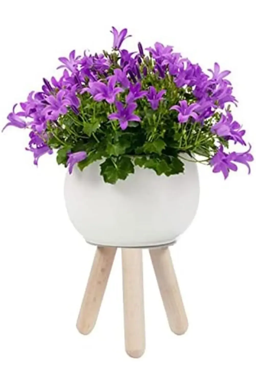 Ahşap Saksı Altlığı 2Li Set 395519