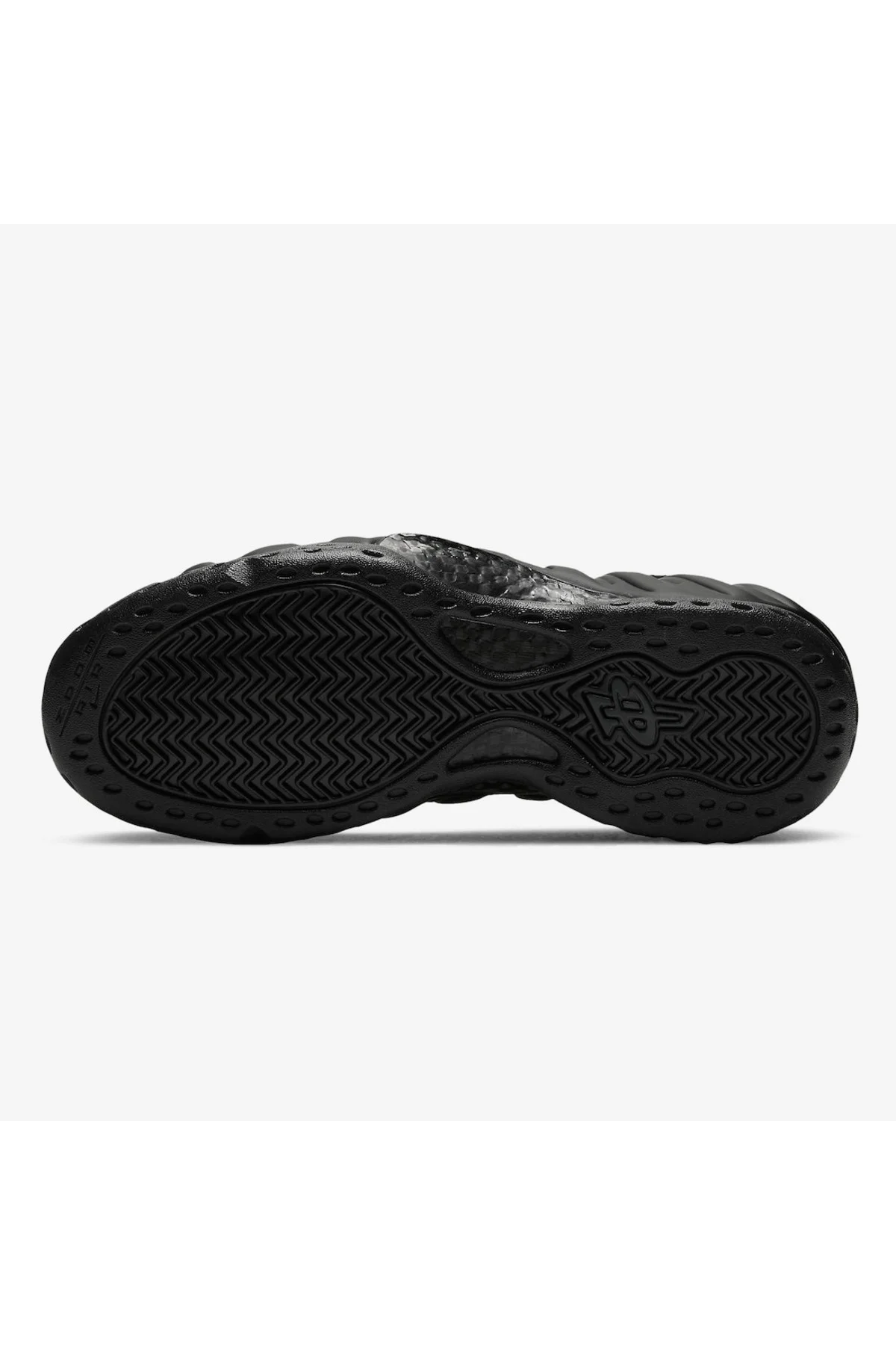 Air Foamposite One FD5855-001