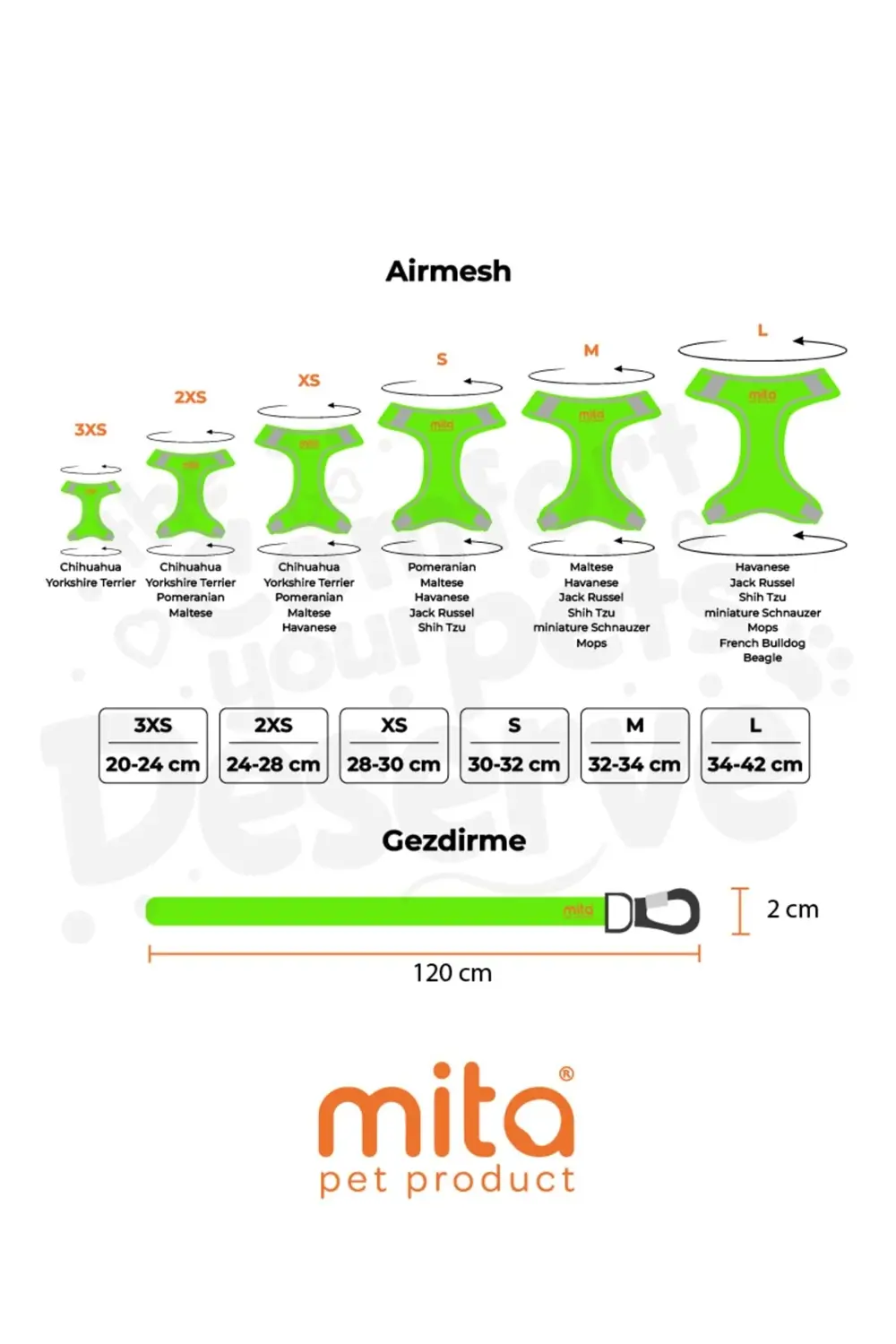 Air Mesh 2'li Bundle Set Kedi Köpek Göğüs Tasması + Köpek Gezdirm