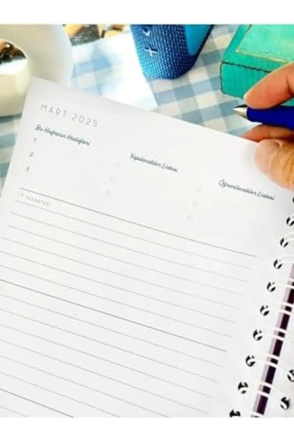 Ajanda 2024-2025 Gizli Spiralli 17x23cm 100gr