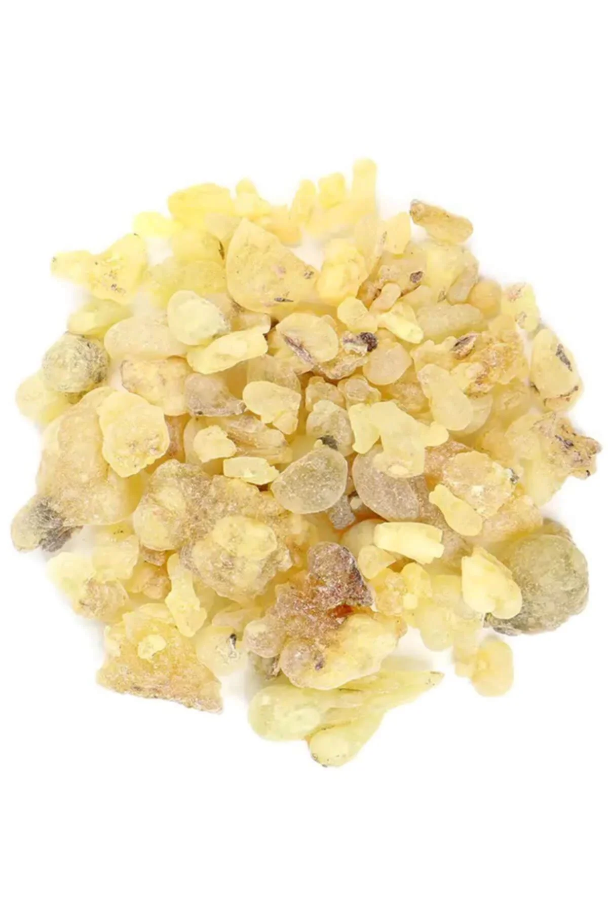 Ak Günlük Sakızı 100gr