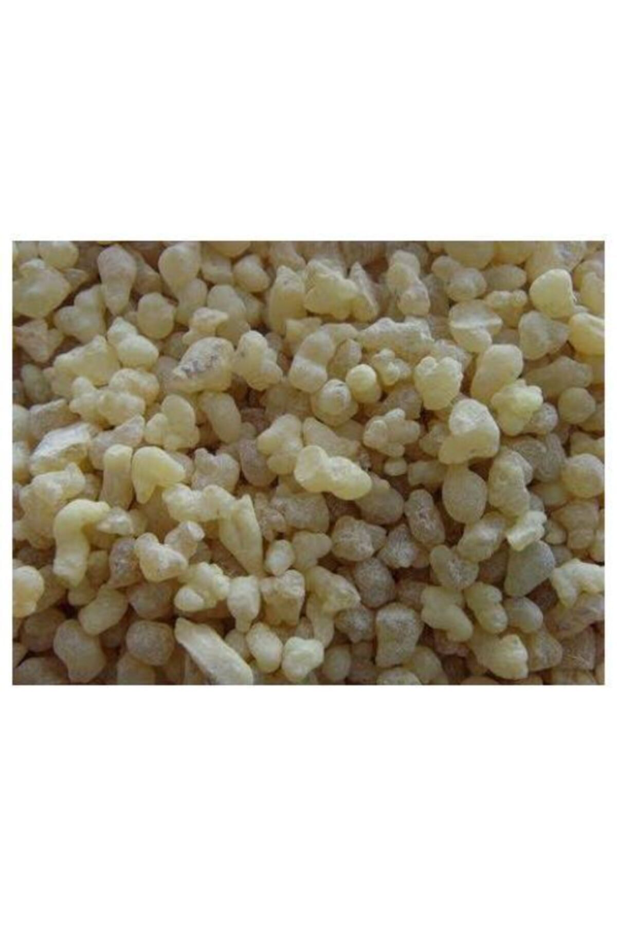 Akgünlük Günlük Sakızı Sığla Ağacı Sakızı 100gr