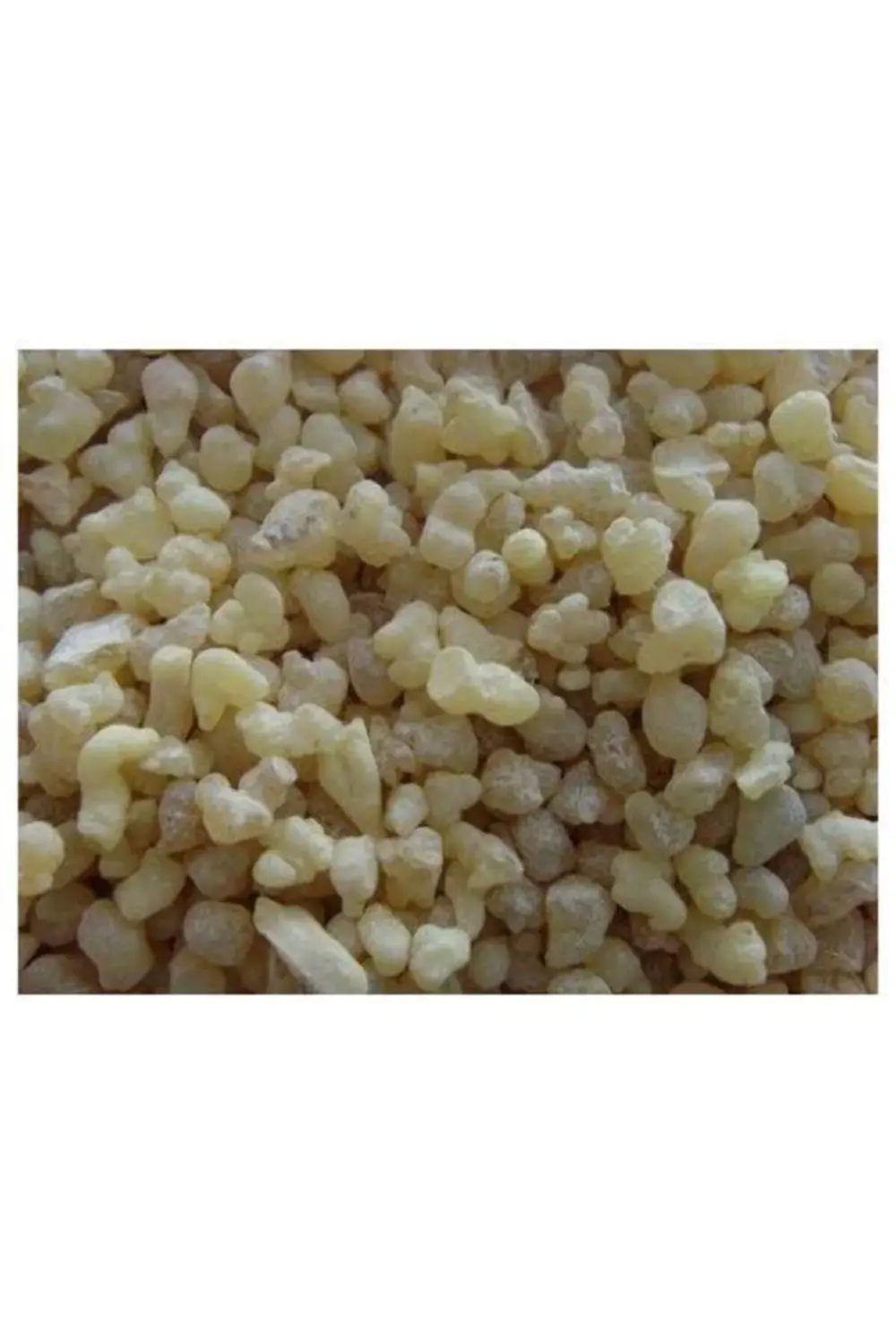 Akgünlük Günlük Sakızı Sığla Ağacı Sakızı 100gr