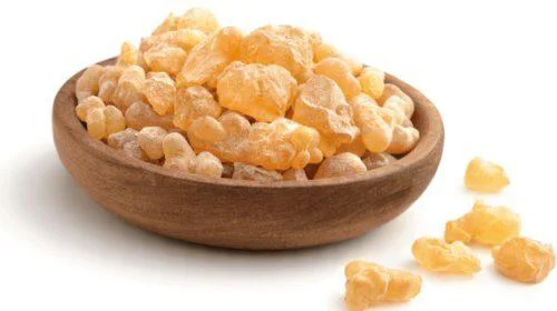 Akgünlük Sakızı Organik 120 Gr - Sığla Ağacı Özü & Buhur Fiyatı, Yorumları ve Özellikleri