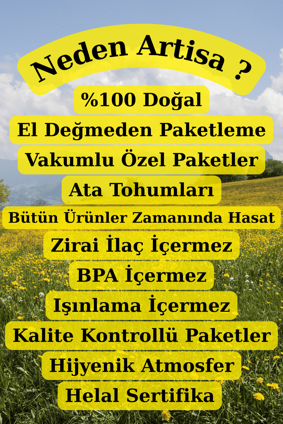 Akgünlük Sakızı Sığla Ağacı Reçine Günlük Bitkisi %100 Doğal Bahu