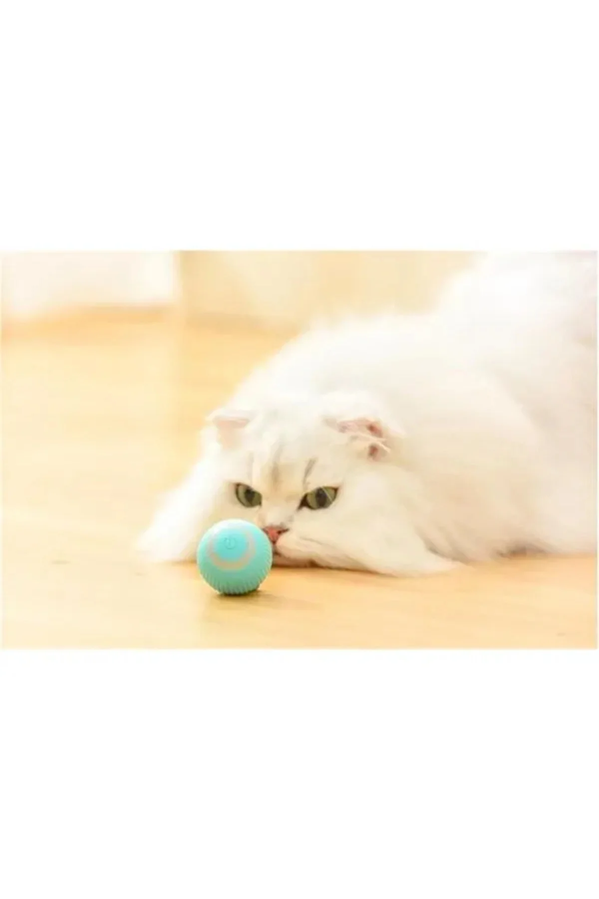 Akıllı İnteraktif Evcil Hayvan Oyuncağı