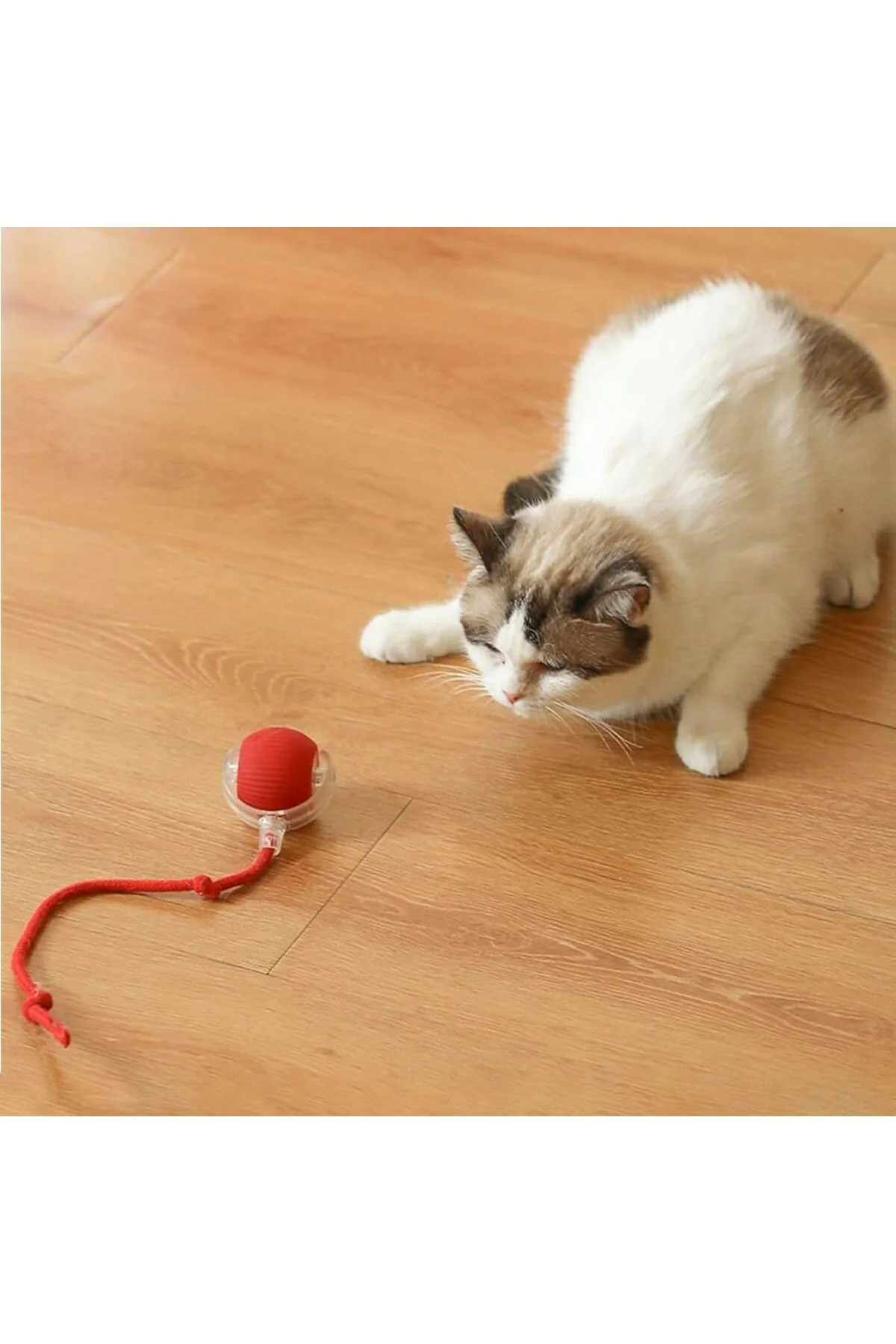 Akıllı Kedi Oyuncağı, Otomatik Yuvarlanan İnteraktif Top, Hareketli Kuyruk, USB Şarj