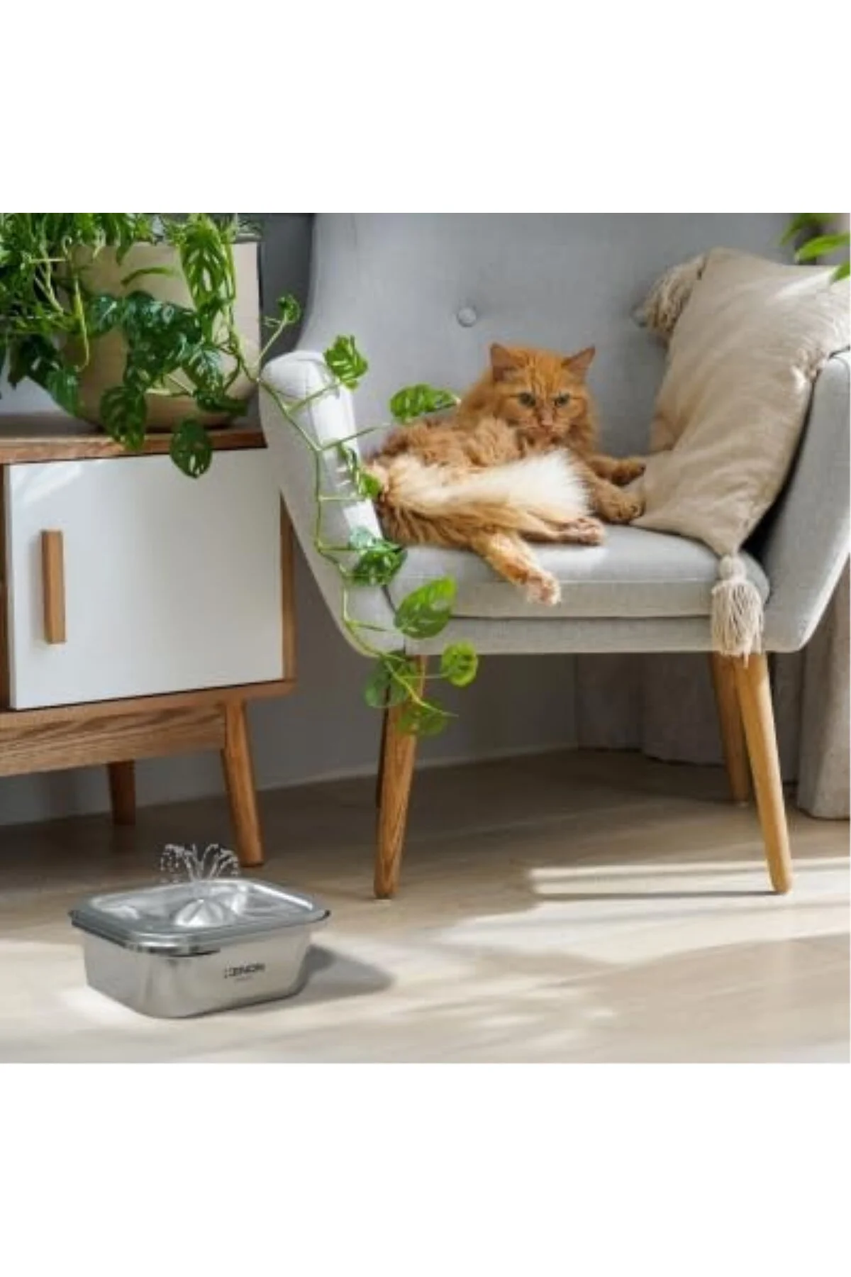 Akıllı Otomatik Çelik Kedi Su Sebili Pınarı ve Yedek Filtreler 2'