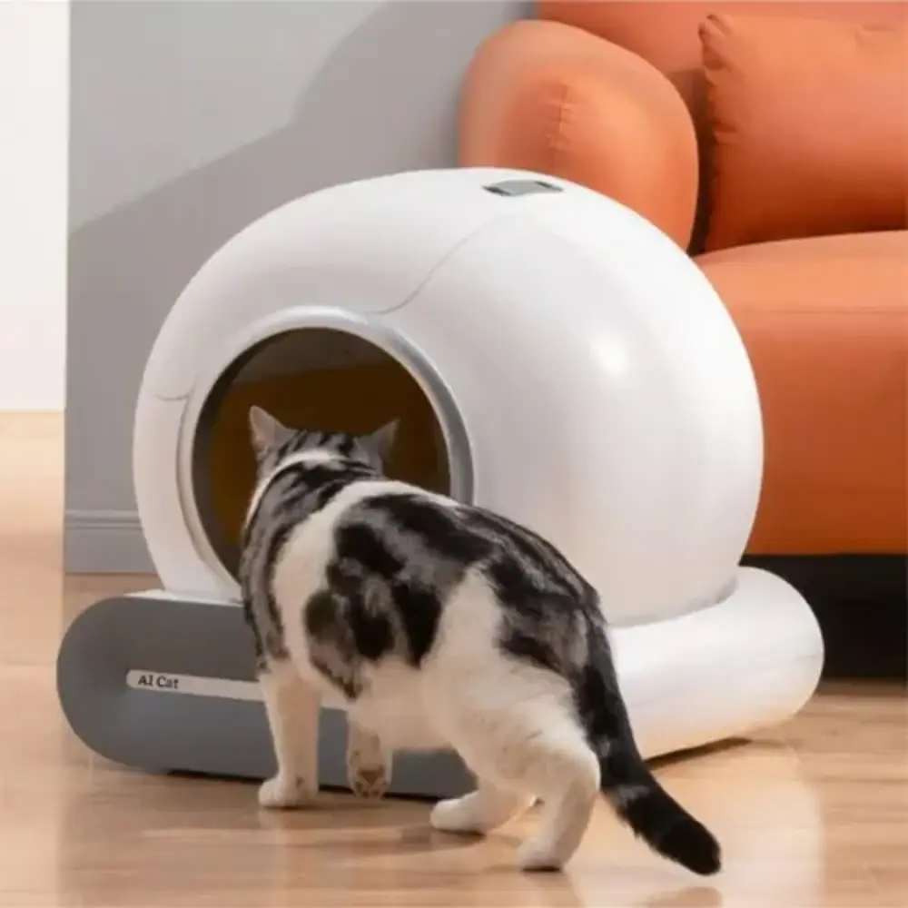 Akıllı Otomatik Kedi Tuvaleti Akıllı Otomatik Kedi Tuvaleti