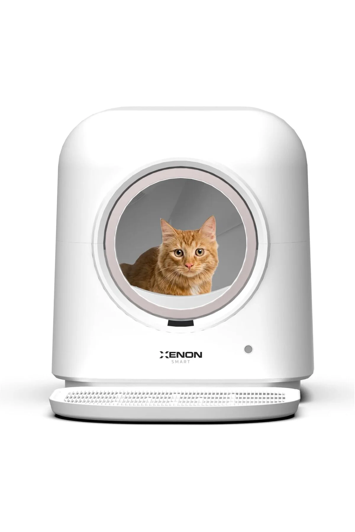 Akıllı Otomatik Kedi Tuvaleti Programlanabilir Mama Kabı Besleme Kasesi ve Su Pınarı