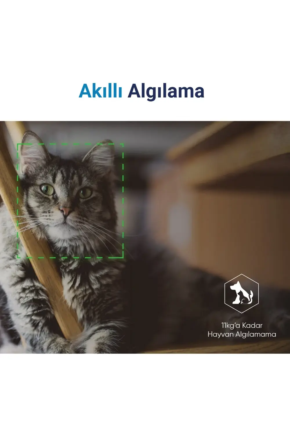 Akıllı Wi-fi Hareket Sensörü, Uzaktan Kontrol, 9 Metre Algılama M