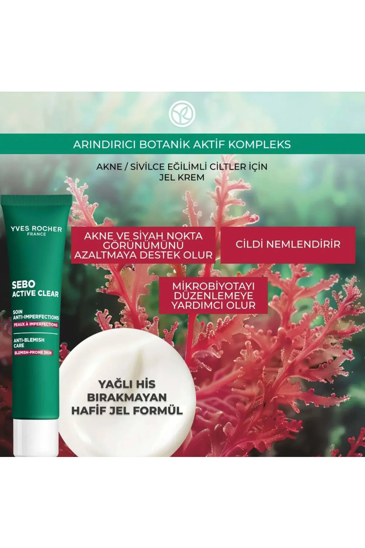 Akne/ Karşıtı Krem-Süksinik Asit&Allantoin&Aloe Vera-Sebo Active 