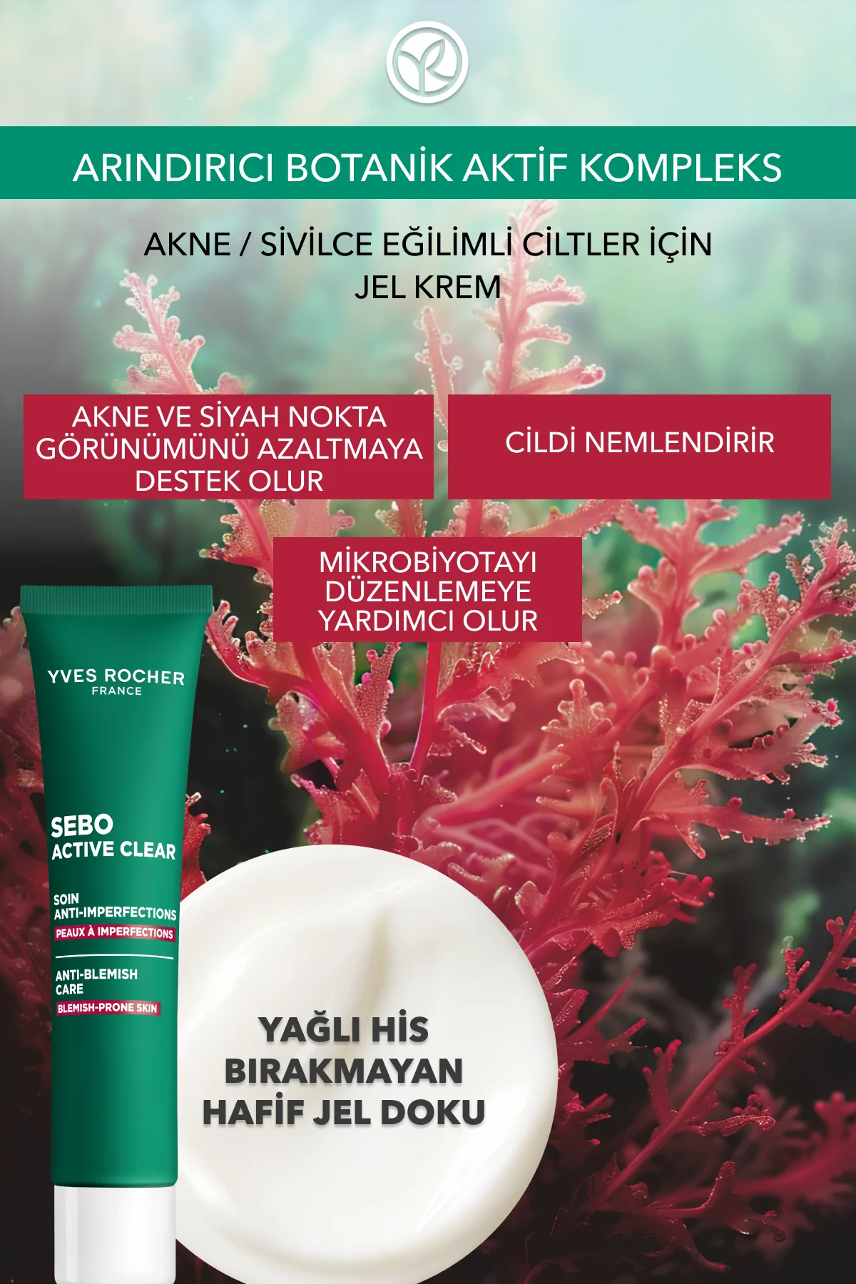 Akne/Sivilce Karşıtı Krem-Süksinik Asit&Allantoin &Aloe Vera-Sebo