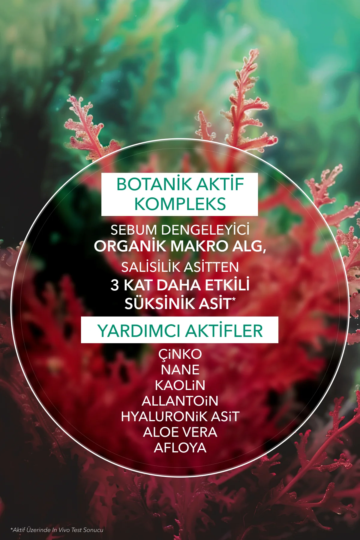 Akne/Sivilce Karşıtı Krem-Süksinik Asit&Allantoin &Aloe Vera-Sebo