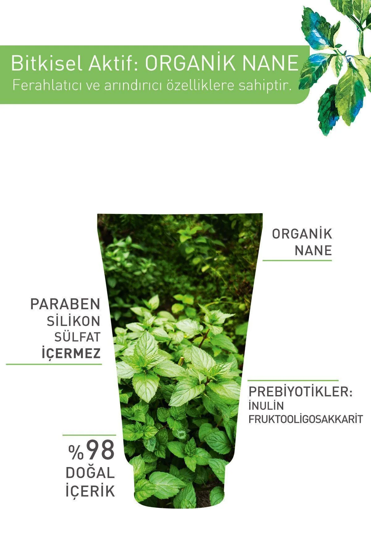 Akneye Eğilimli Ciltler Için Pure Menthe Peeling Etkili Prebiyoti