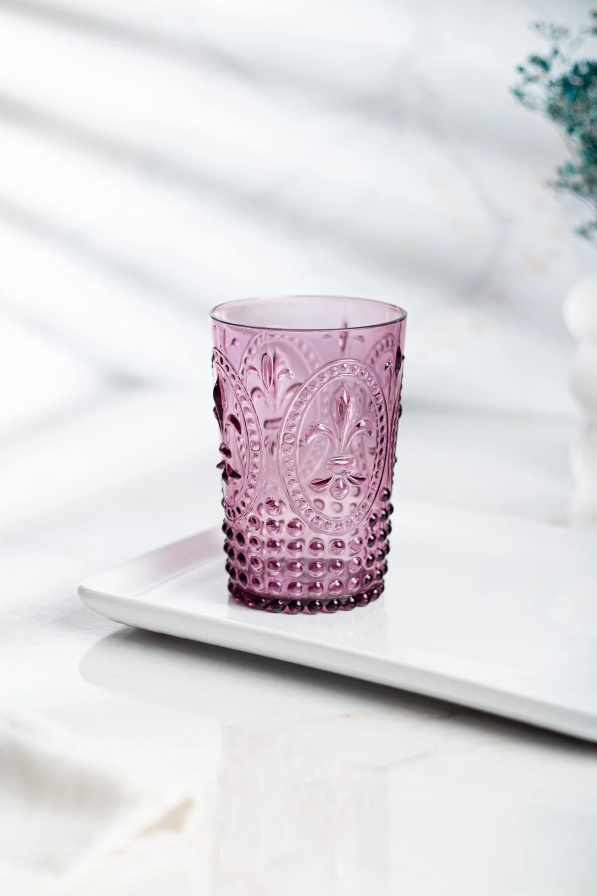 Akrilik Mürdüm Tekli Kısa Bardak & Su Meşrubat Kahve Yanı Bardağı 400 ml ( Cam Değildir ) Akrilik Mürdüm Tekli Kısa Bardak & Su Meşrubat Kahve Yanı Bardağı 400 ml ( Cam Değildir )