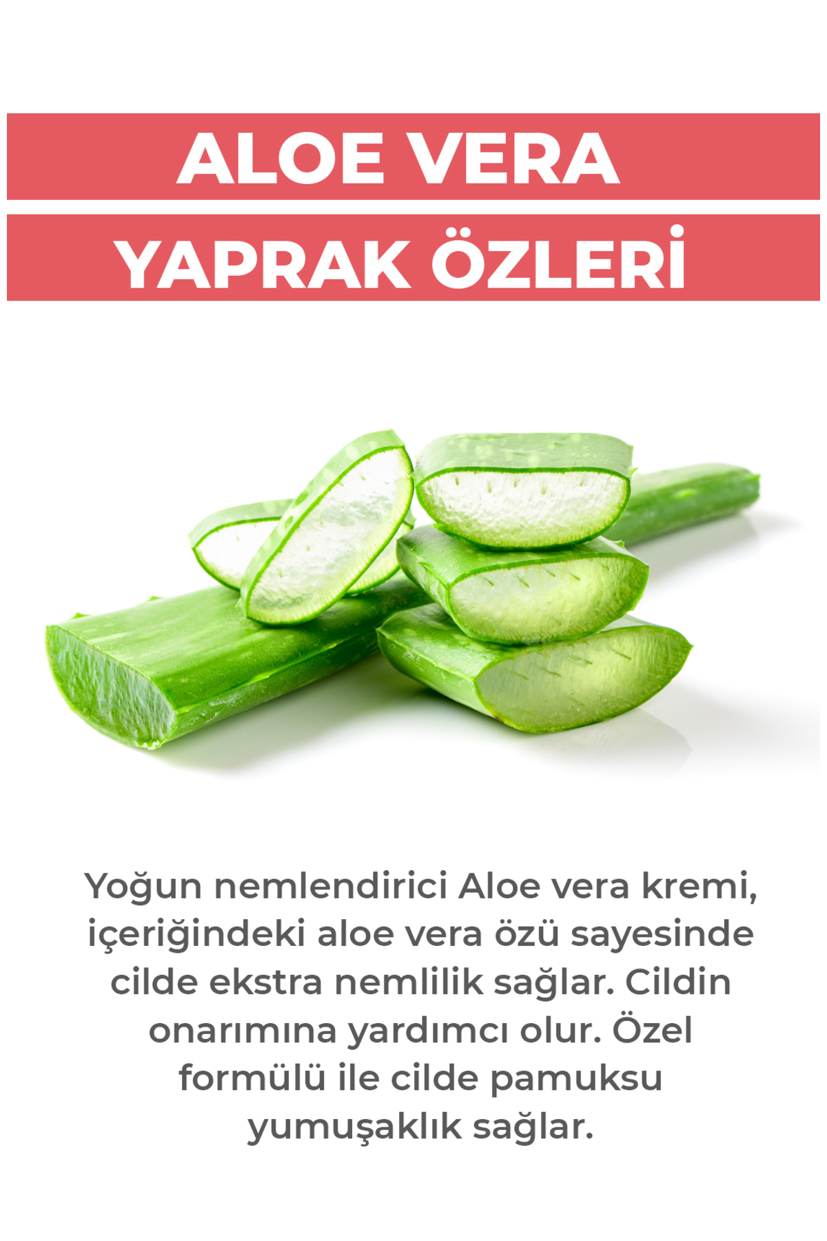 Aleo Vera Yaprak Özleri Ekstraktı Kremi 45 ml | Moisturizer Aloe 