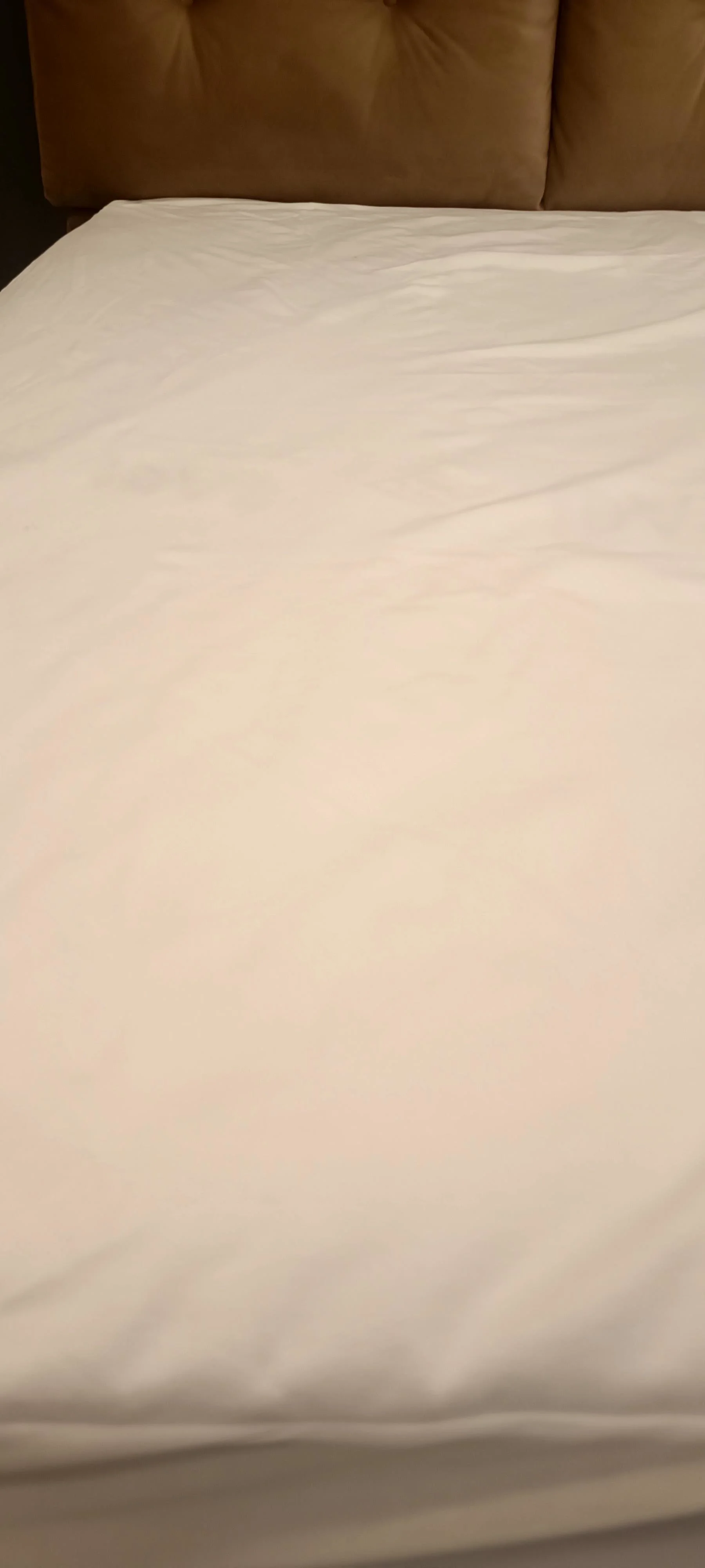 ALEZ Fitted 90173 Yatak koruyucu Sıvı Geçmez 160*200 Model Terlet ALEZ Fitted 90173 Yatak koruyucu Sıvı Geçmez 160*200 Model Terlet