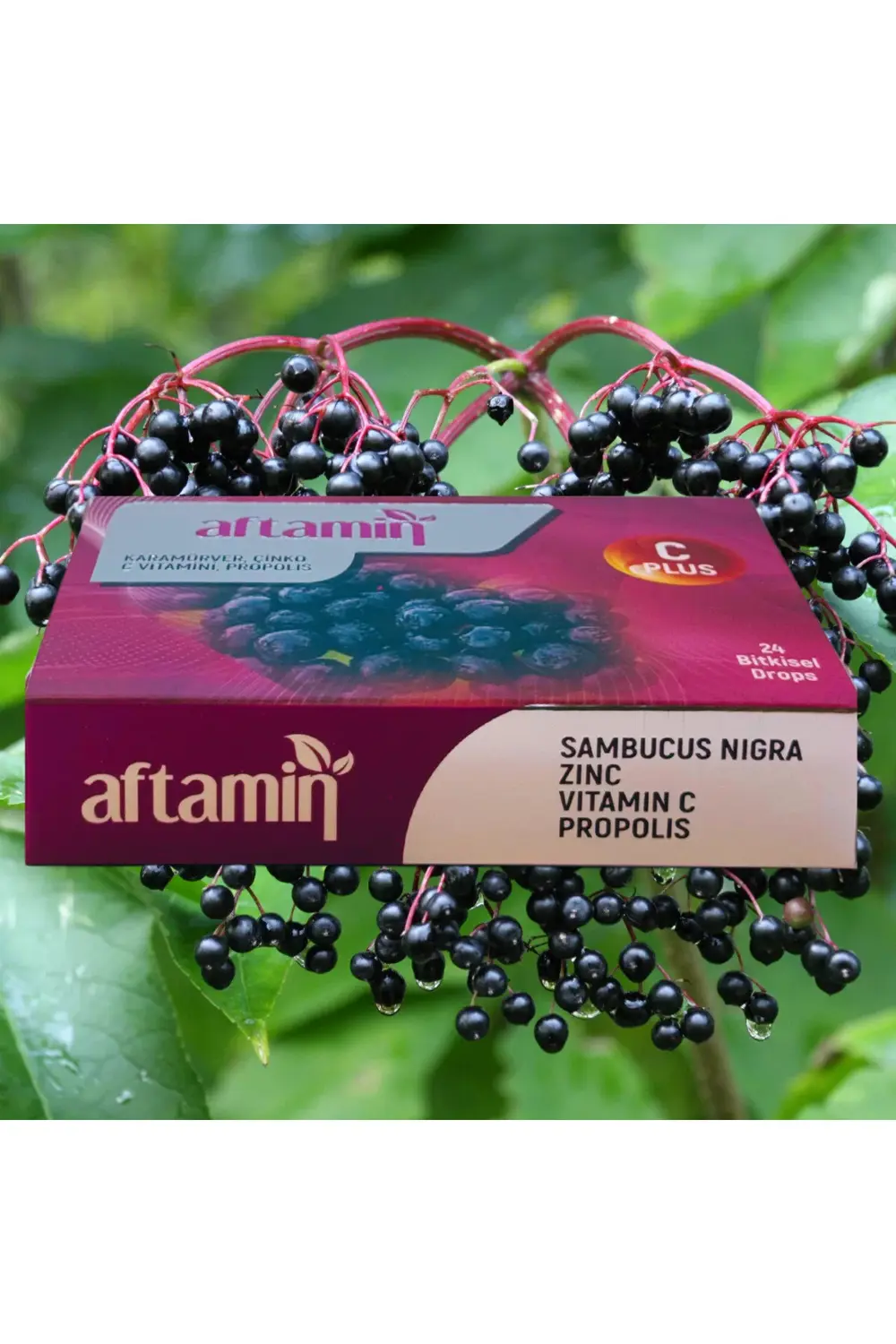 Alftamın 24'lü Bitkisel Drops Pastil | Karamürver Çinko Propolis