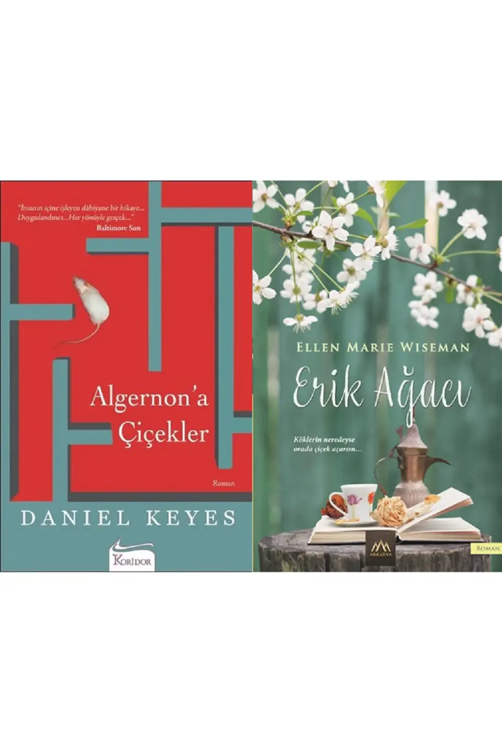 Algernon'a Çiçekler + Erik Ağacı 2 Kitap Set
