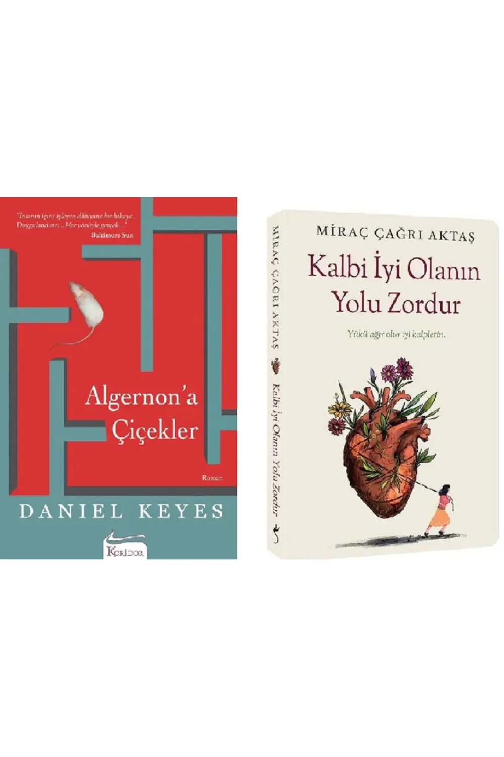 Algernona Çiçekler + Kalbi İyi Olanın Yolu Zordur 2 Kitap Set