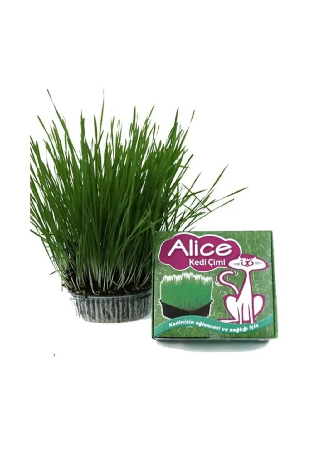 Alice Sindirimi Rahatlatıcı Kedi Çimi