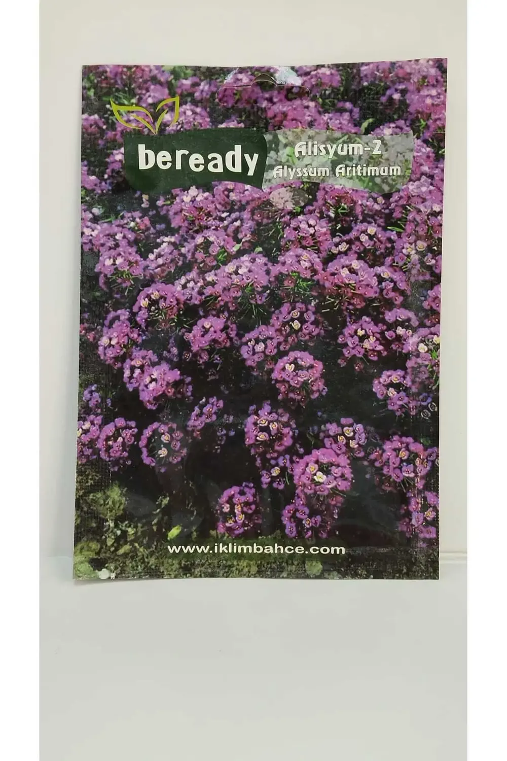 Alisyum Çiçeği Tohumu
