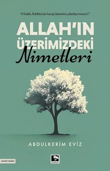 Allah’ın Üzerimizdeki Nimetleri Fiyatı, Yorumları ve Özellikleri