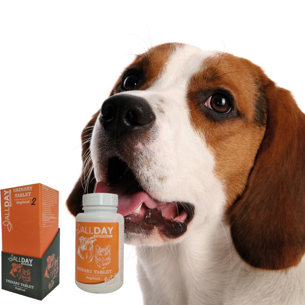 Allday  2 Urinary Kedi Ve Köpekler İçin Tablet 75 Gr