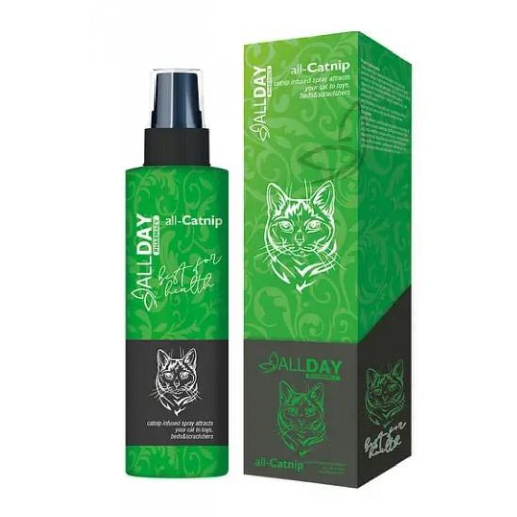 Allday All-Catnip Kedi Oyun Sprey 150 Ml