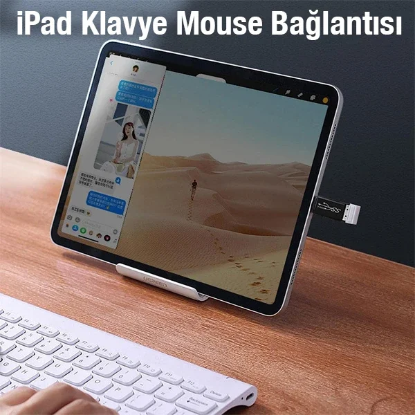 ALLY Dişi USB to Type-C OTG Çevirici Dönüştürücü Adaptör-1852