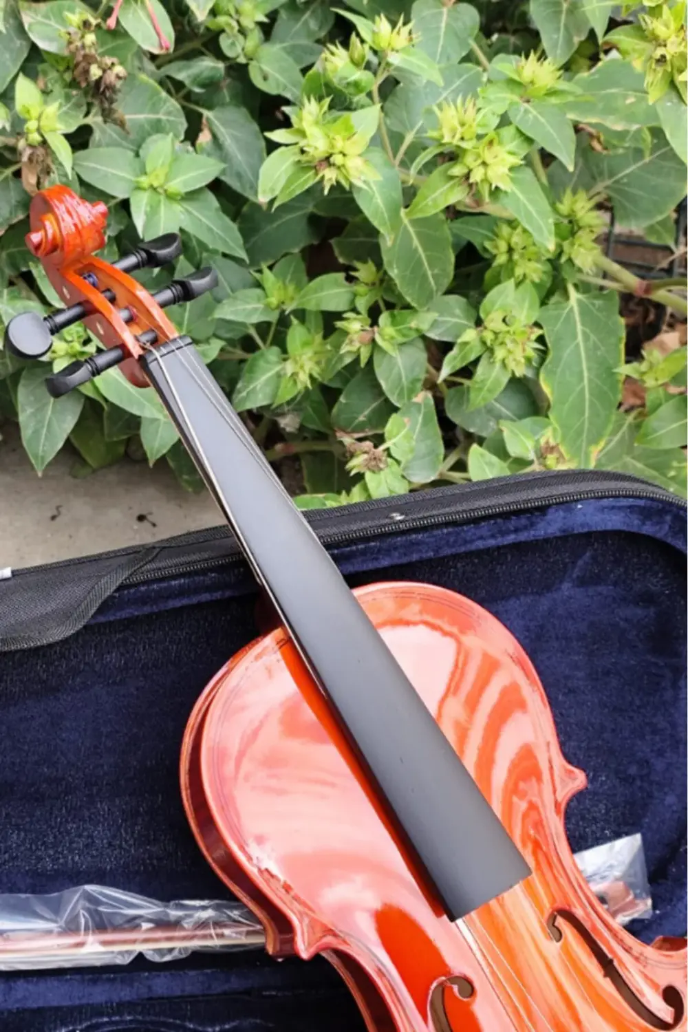 Almeda Parlak 4/4 Keman Yetişkin Kemanı