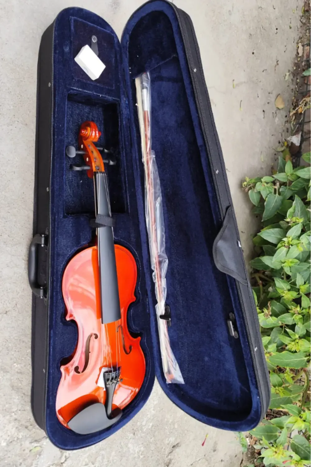 Almeda Parlak 4/4 Keman Yetişkin Kemanı