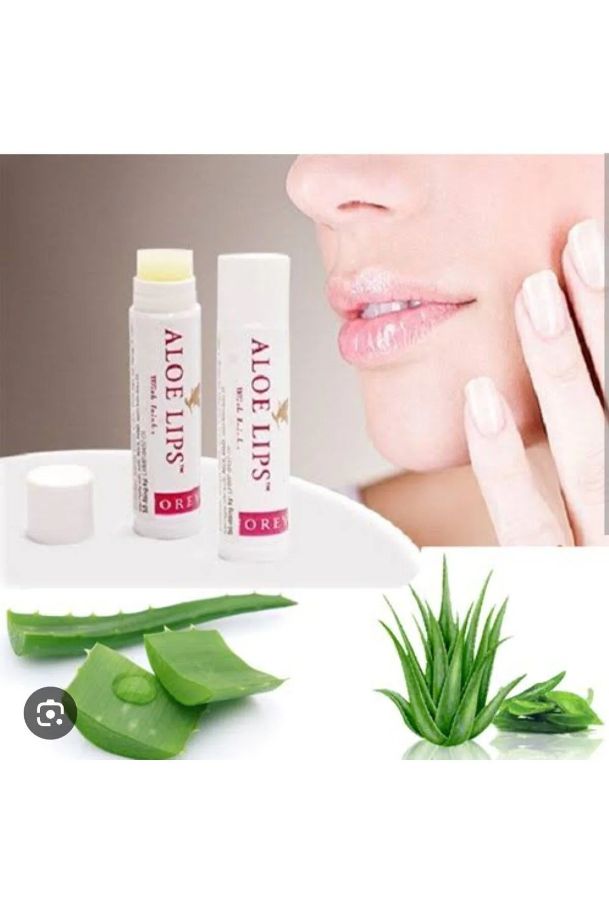 Aloe Deodorant 1 Adet (STİCK, ROLLON,) Ve 2 Adet Aloe Lips -067 -