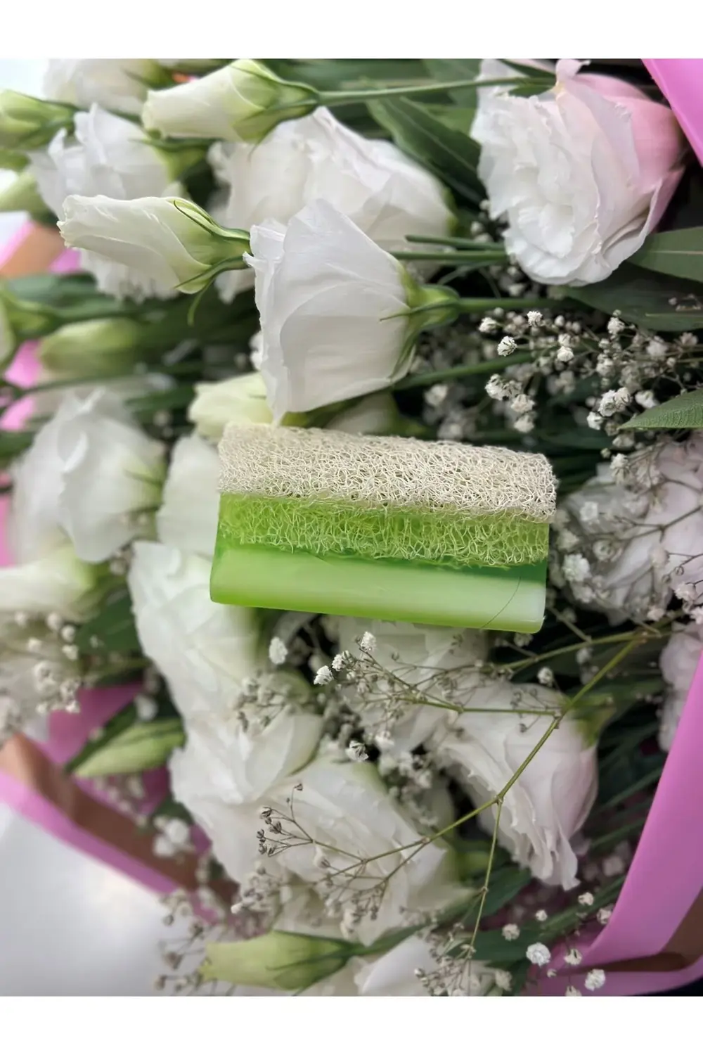 Aloe Vera Özlü Kabak Lifli Sabun