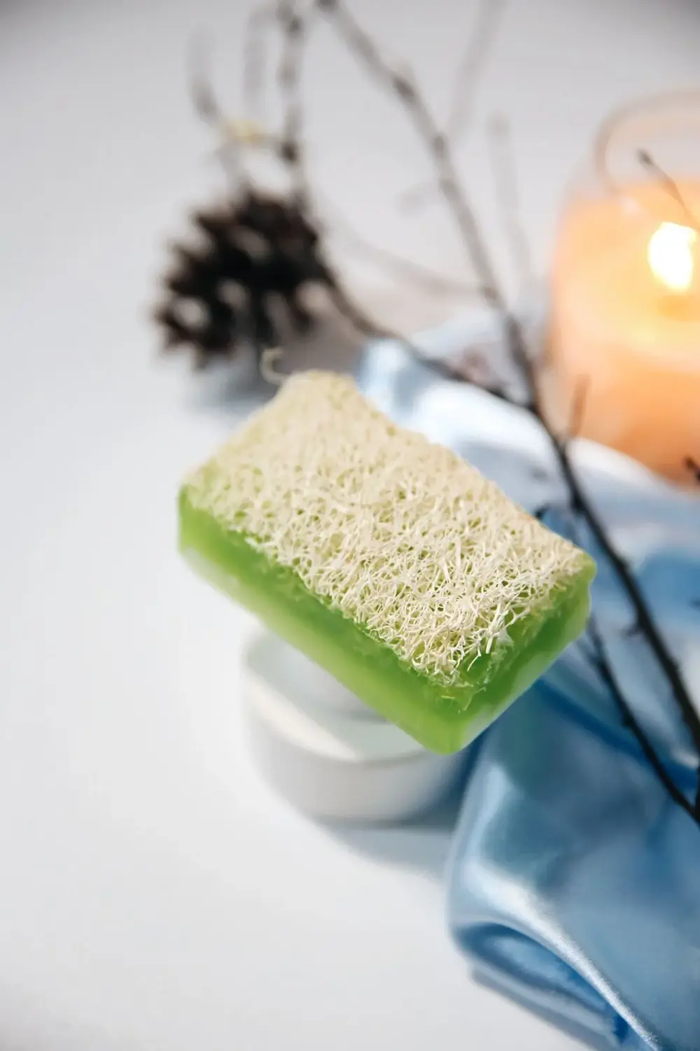 Aloe Vera Özlü Kabak Lifli Sabun