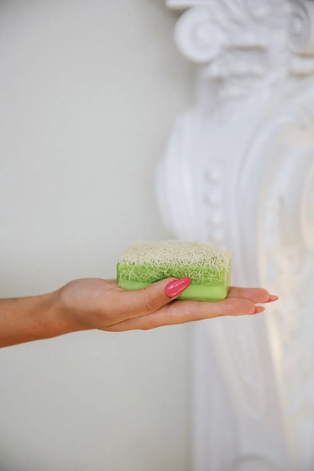 Aloe Vera Özlü Kabak Lifli Sabun