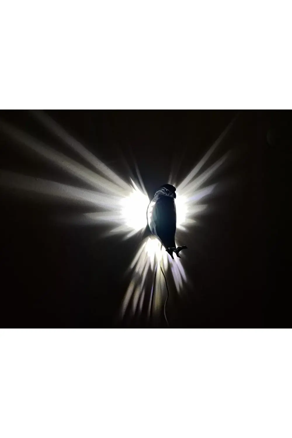 ALPAXA3D KARTAL FİGÜRLÜ GECELAMBASI